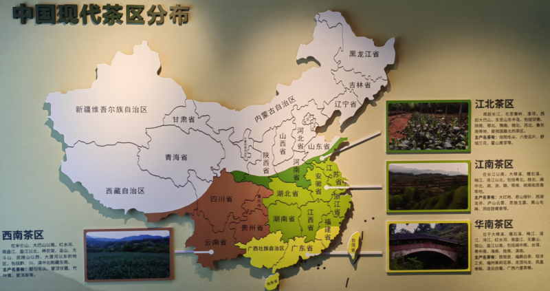 Customized Tea Cultural Tourism | Sichuan: The Sichuan-Tibet Ancient Tea-Horse Road 1