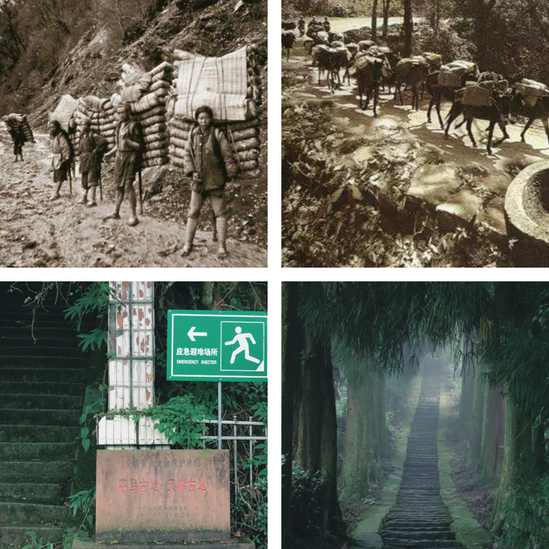 Customized Tea Cultural Tourism | Sichuan: The Sichuan-Tibet Ancient Tea-Horse Road 10