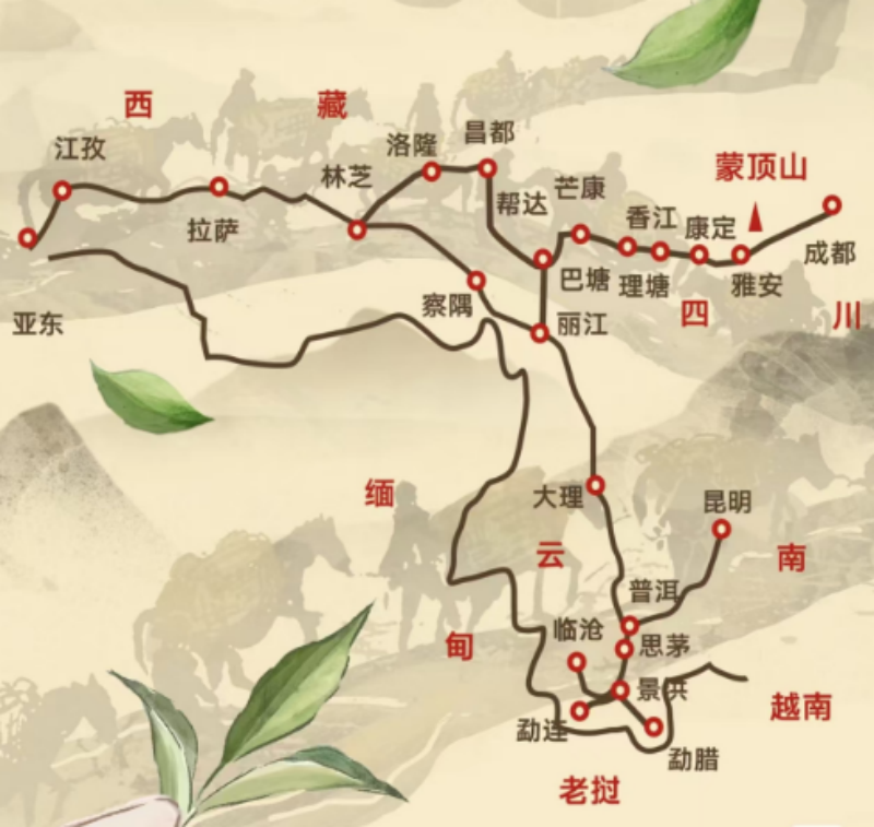 Customized Tea Cultural Tourism | Sichuan: The Sichuan-Tibet Ancient Tea-Horse Road 3