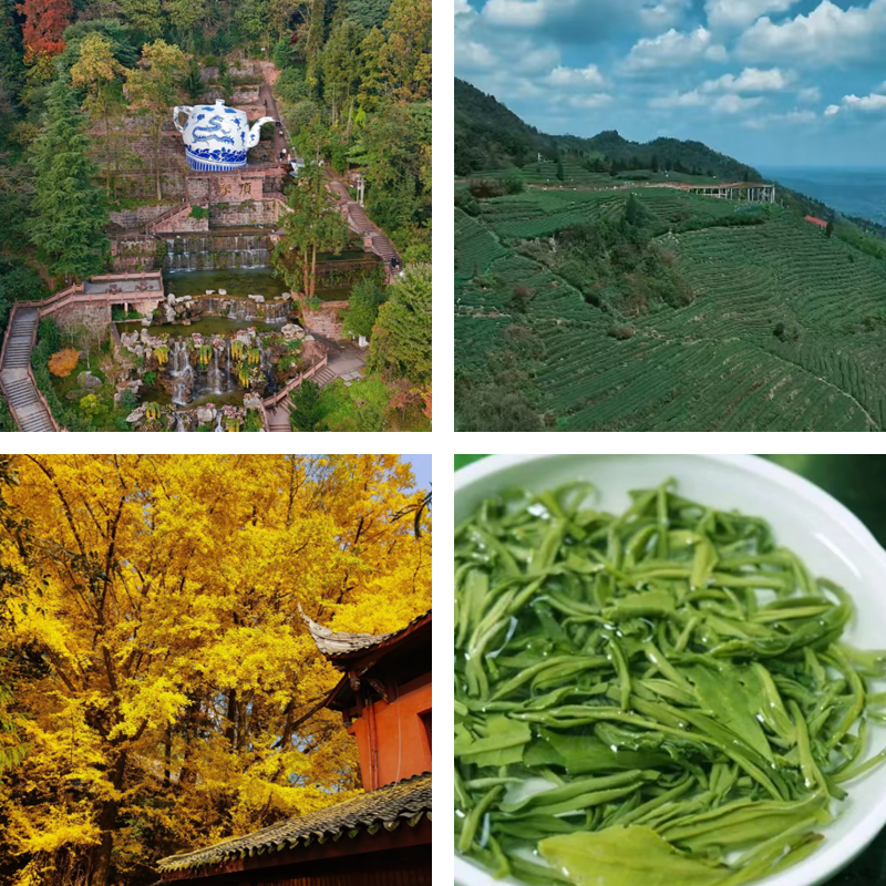 Customized Tea Cultural Tourism | Sichuan: The Sichuan-Tibet Ancient Tea-Horse Road 9